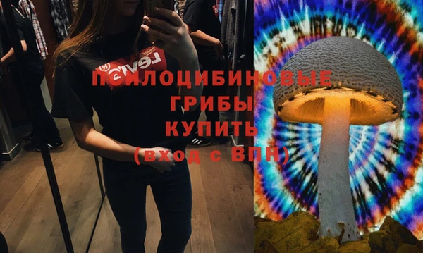 2c-b Абинск