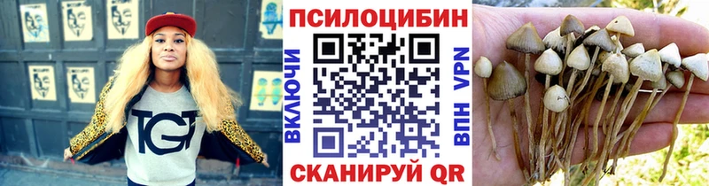 Псилоцибиновые грибы Psilocybine cubensis  OMG ССЫЛКА  Тутаев  где продают  