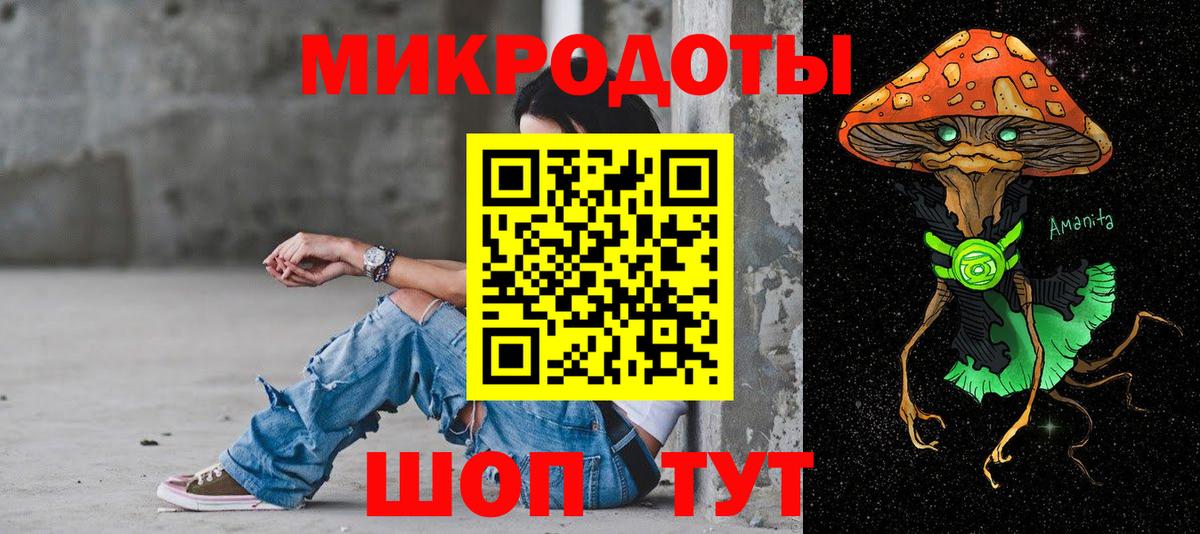 Псилоцибиновые грибы Cubensis Тутаев